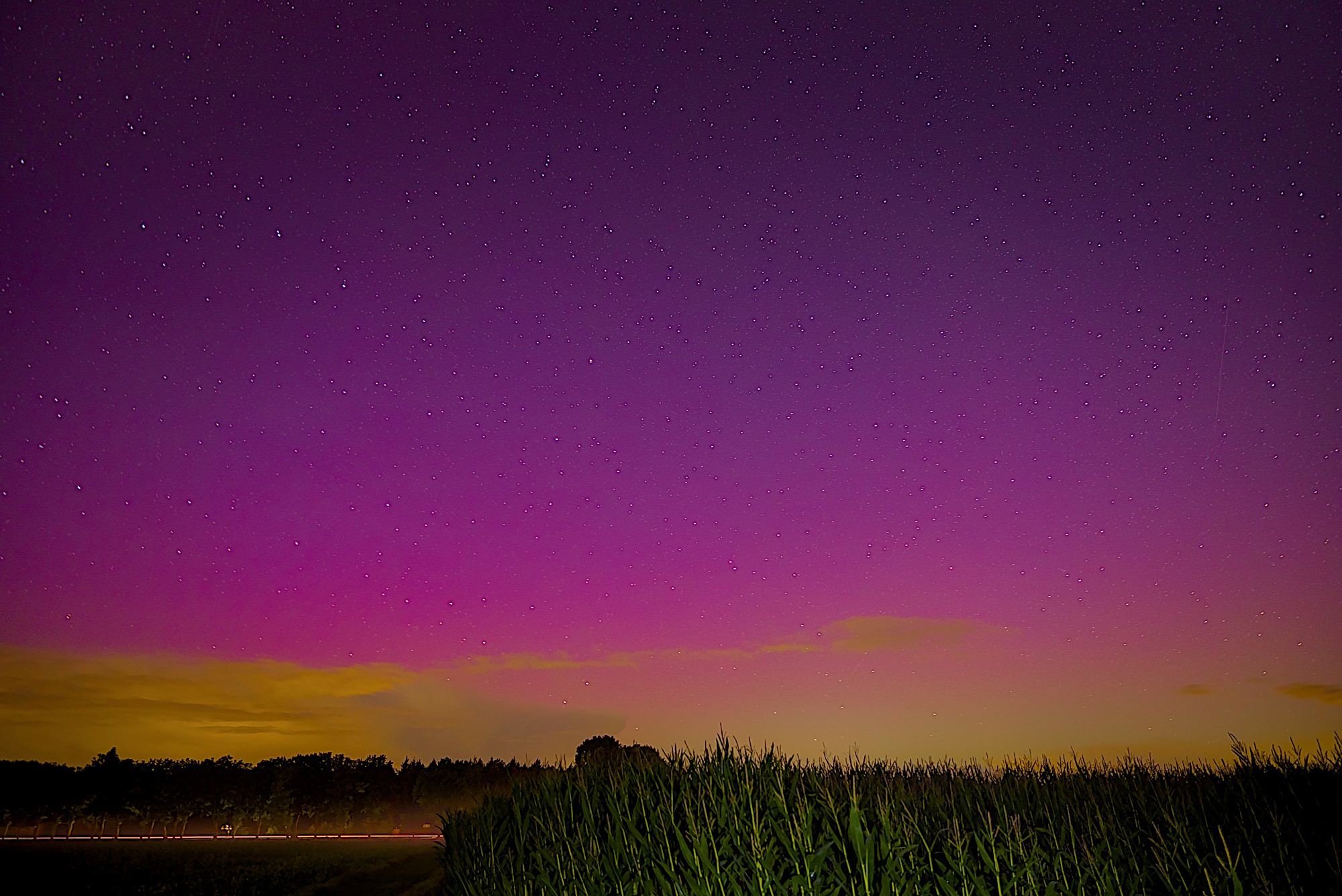 Polarlicht vom 12.09.2024 (Cloppenburg)